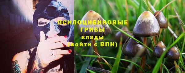 а пвп мука Весьегонск