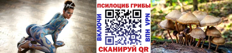 Галлюциногенные грибы Cubensis  закладки  Новосибирск 