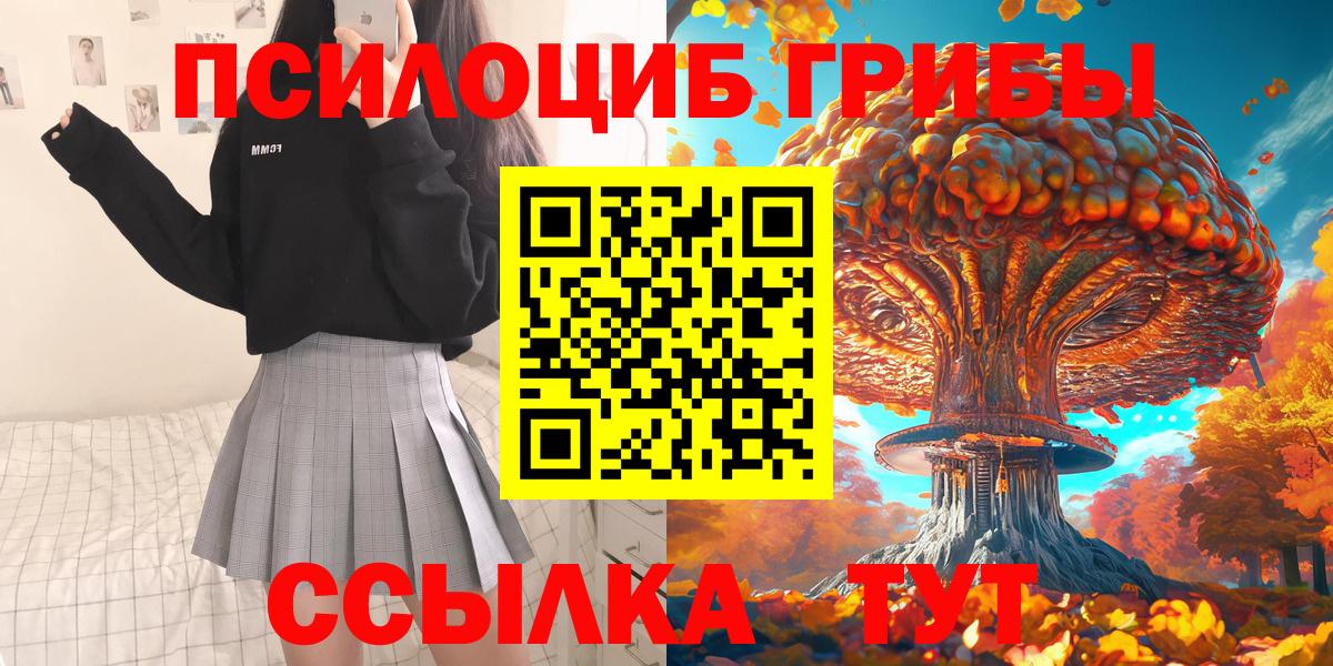 Меф Новосибирск