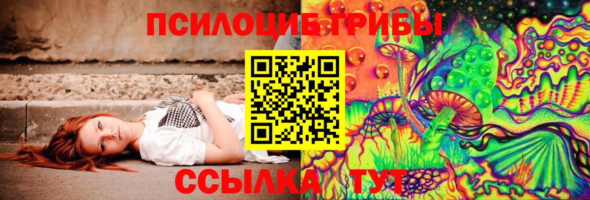 Новосибирск  Псилоцибиновые грибы ЛСД  Вход с VPN 