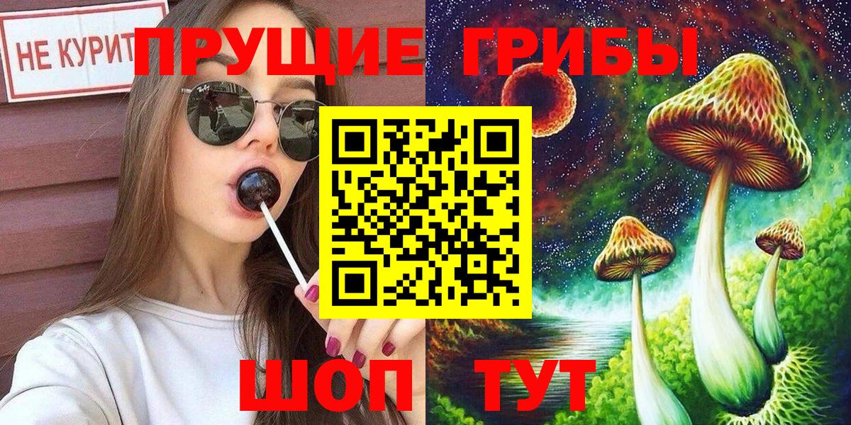 Псилоцибиновые грибы Psilocybine cubensis Новосибирск